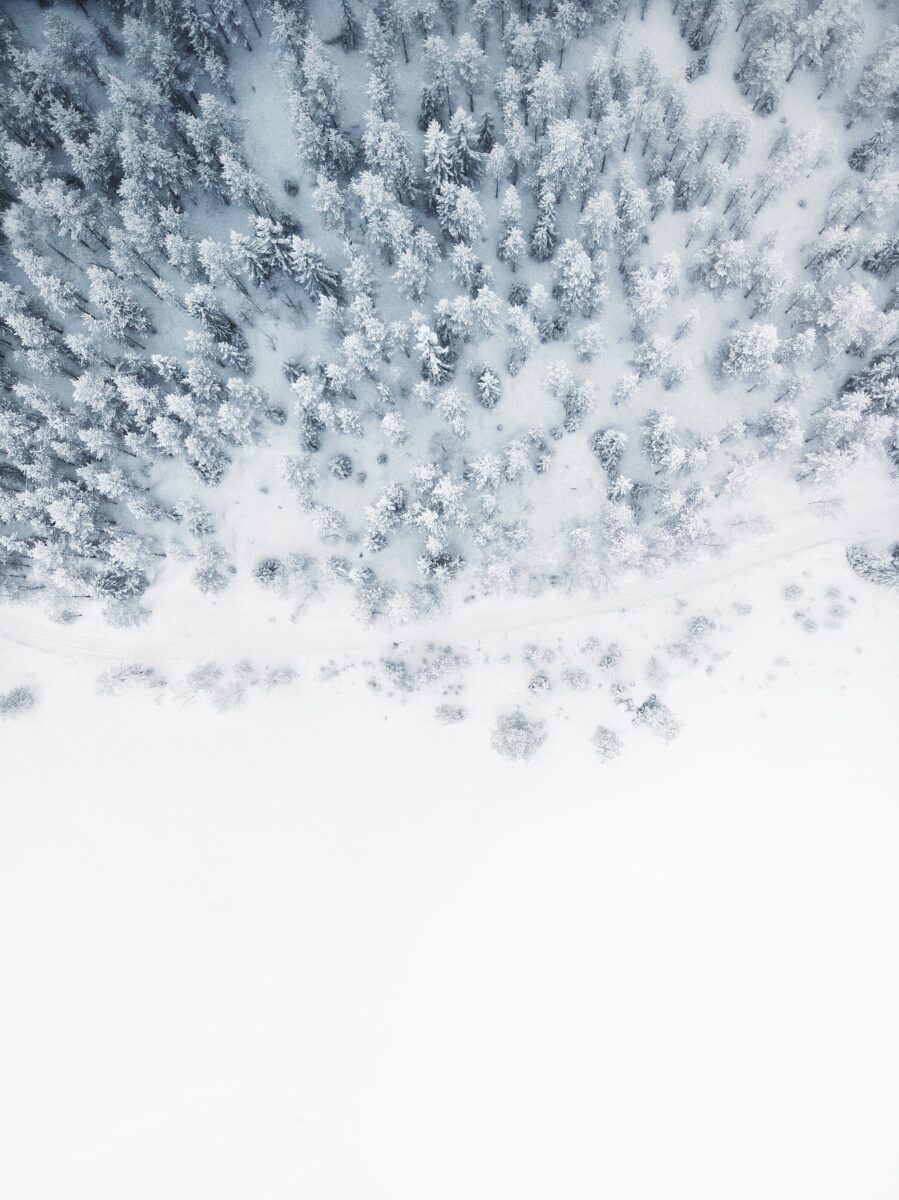 Vom Himmel hoch